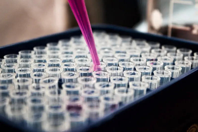 Lyophilization Cycle Development Services.