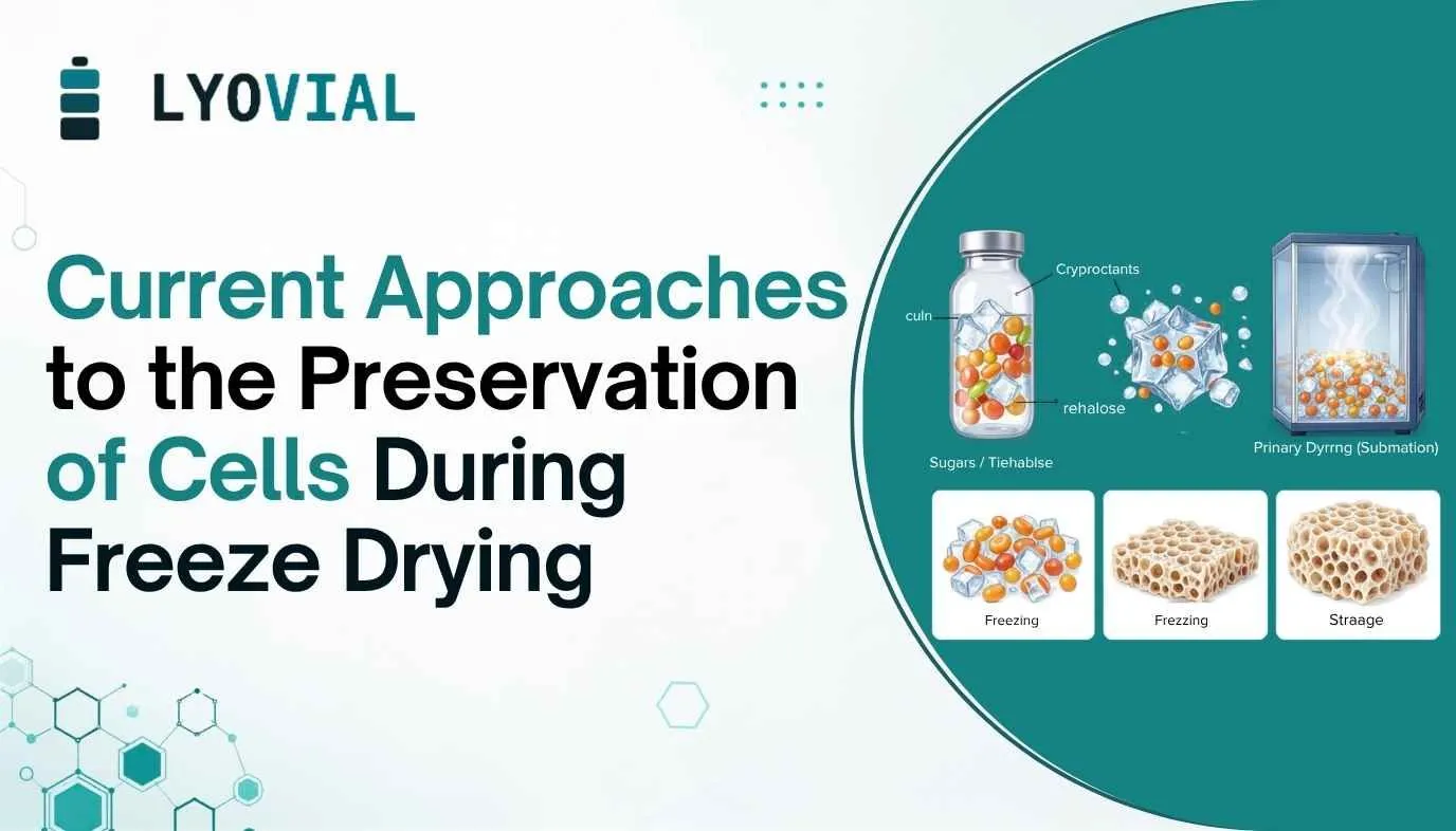Current Approaches to the Preservation of Cells During Freeze Drying