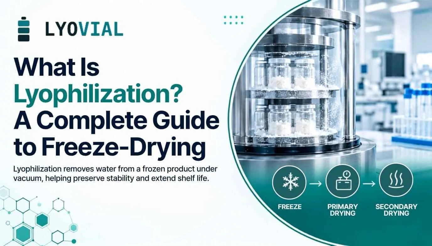What Is Lyophilization? A Complete Guide to Freeze-Drying