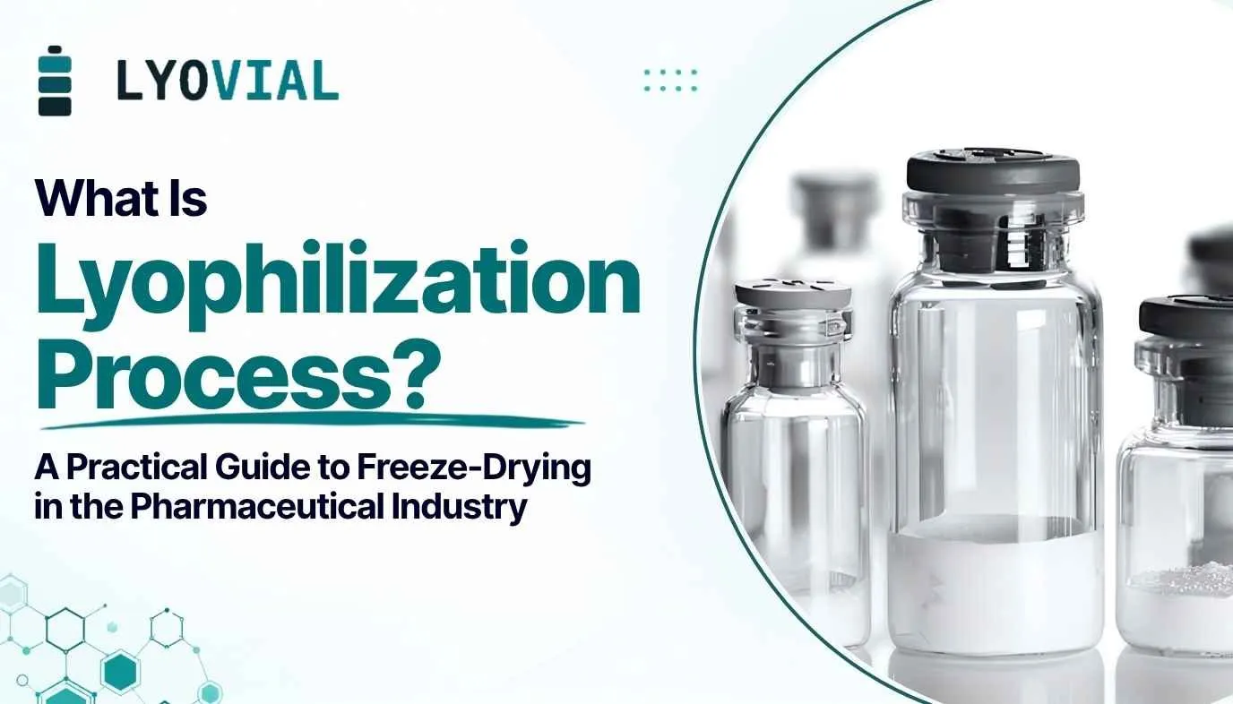 What Is Lyophilization Process? A Practical Guide to Freeze-Drying in the Pharmaceutical Industry